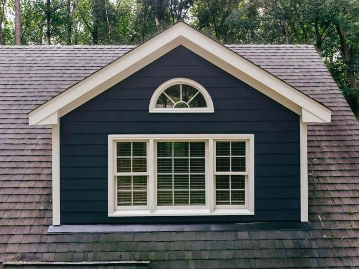 What Is the Cheapest Siding Option for Sheds?