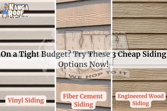 Cheapest Siding: Top 7 Budget-Friendly Options